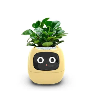 Smart Small Flowerpot
